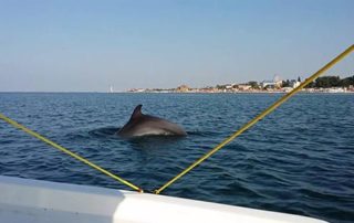 Железный Порт